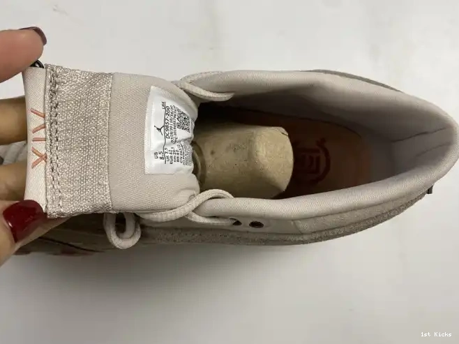 14 Low Jordan Blush Retro DC9857-200 Clot Terra AIR 0520